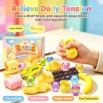 24-Pack Squishy Pack, Slow Rising TPR Sensory Fidget Toys