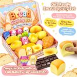 24-Pack Squishy Pack, Slow Rising TPR Sensory Fidget Toys
